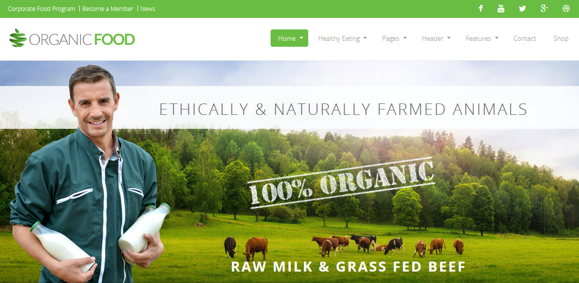 Página de inicio de demostración de alimentos orgánicos