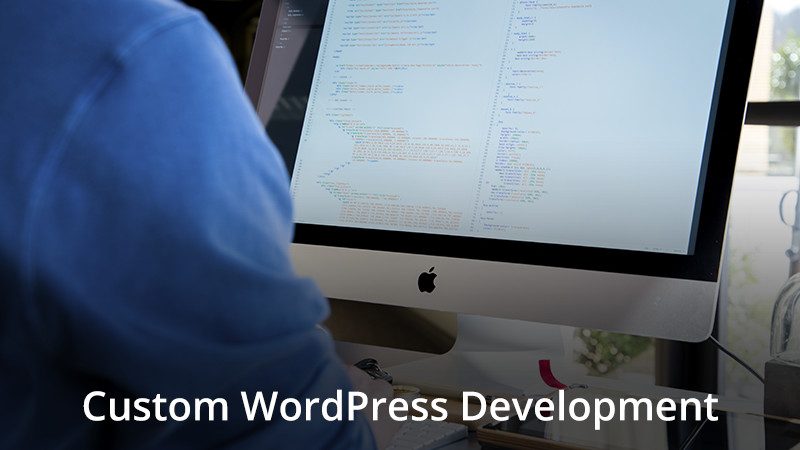 Desarrollo de productos WordPress personalizados