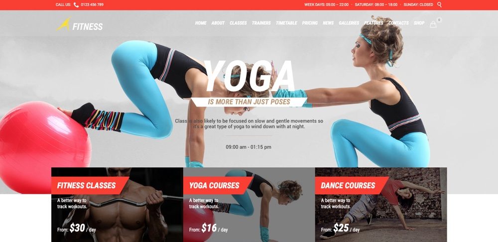gym-fit-theme-for-fitness-wp-theme-6308627
