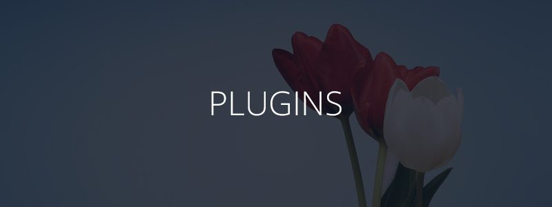 july-4-plugin-discounts-1102177