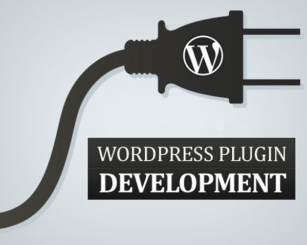 large_wordpress-plugin-development1-1806606