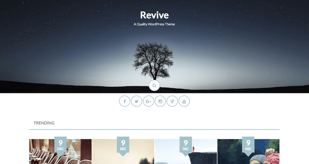 revive-theme-3415964