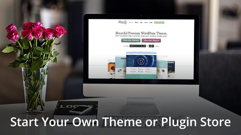 Inicie su propia tienda de plugins o temas de WordPress