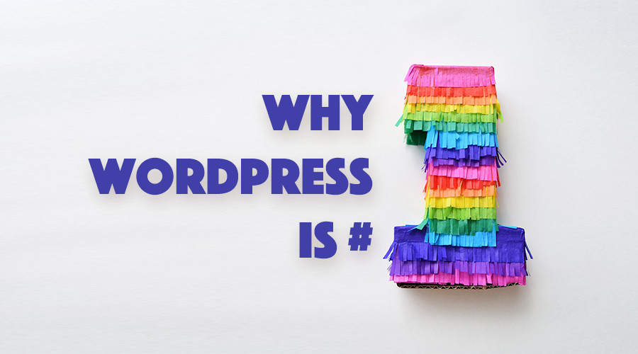 </noscript>6 compelling reasons why WordPress is the best platform for your site