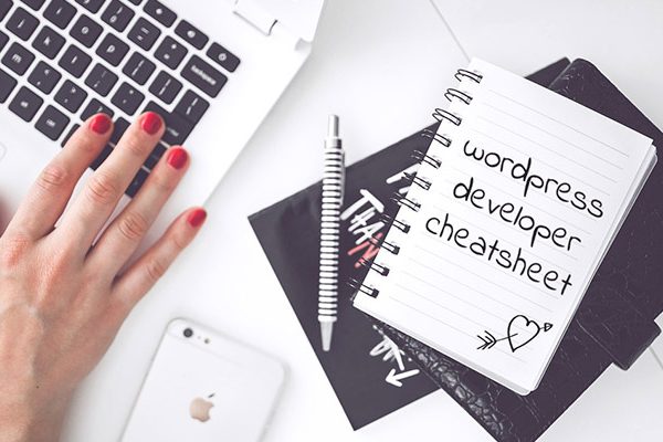 wordpress-dev-cheatsheet-4316669-7813723-jpg