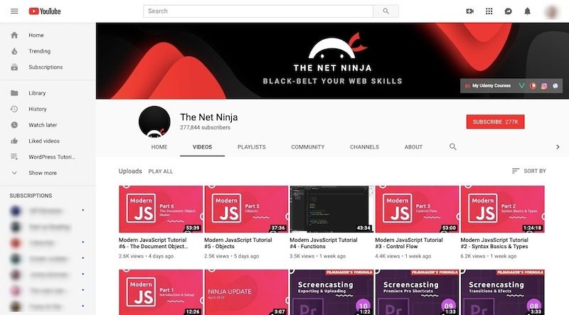 the-net-ninja-1235045