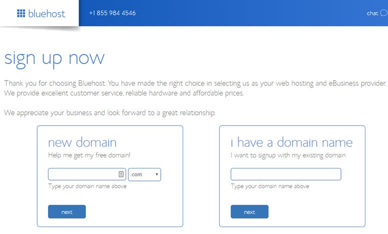 bluehost-domain-purchase-2791300