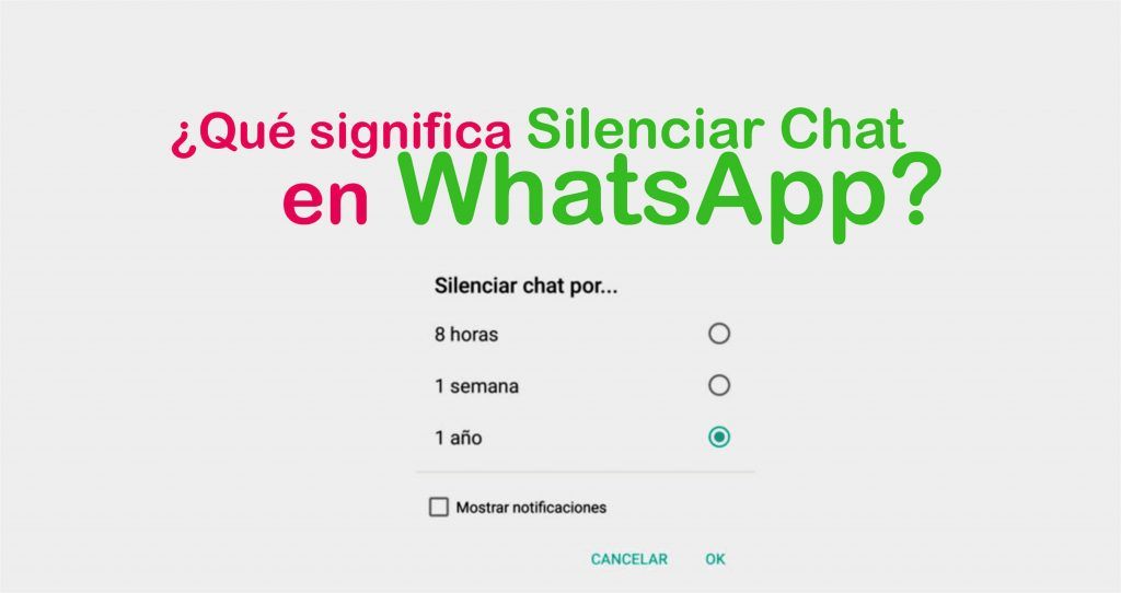 ¿Qué significa en WhatsApp silenciar chat?
