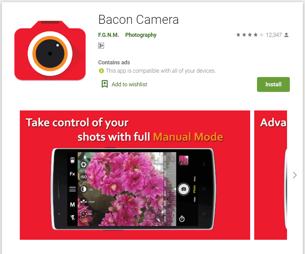 bacon-caméra-2923091