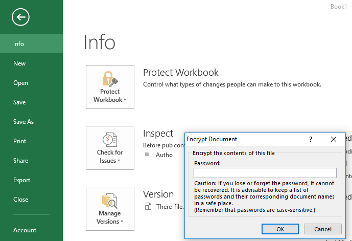 choose-a-unique-password-to-use-and-protect-your-excel-file-with-this-password-5680167