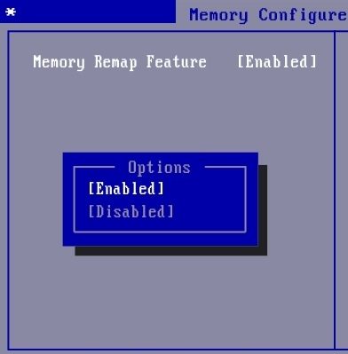 enable-memory-remap-feature-1559957