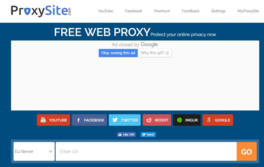 enter-the-proxy-url-in-your-browser-8435751
