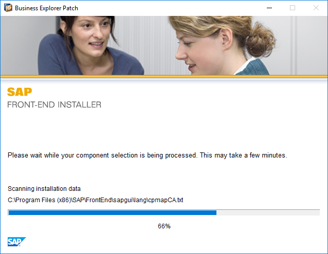let-the-installer-continue-with-the-installation-of-sap-gui-patch-4444843