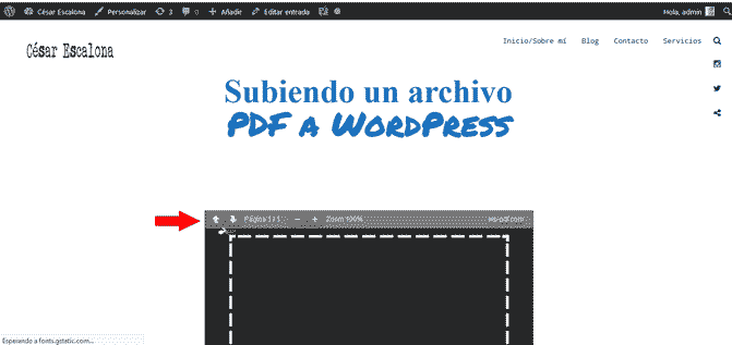 pdf in wordpress2