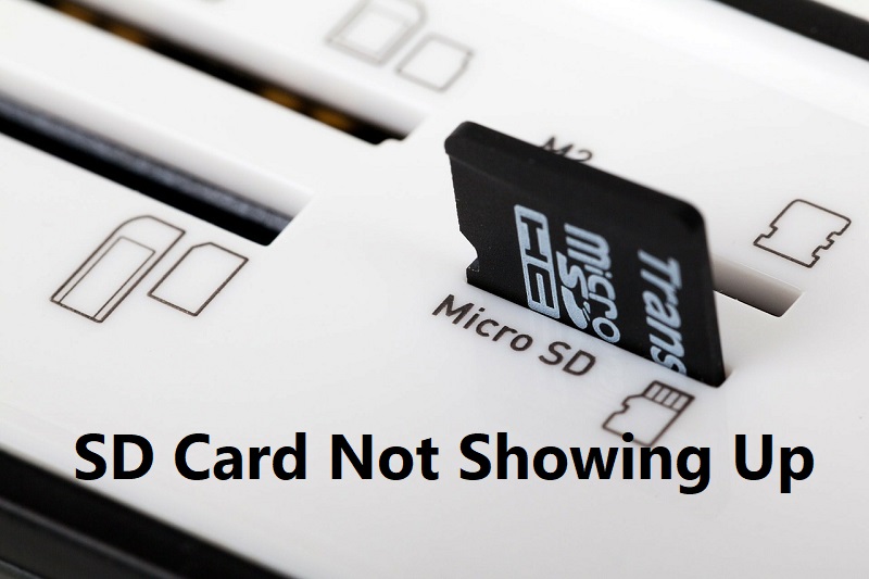 </noscript>✅ 5 maneras de arreglar la tarjeta SD que no aparece o funciona