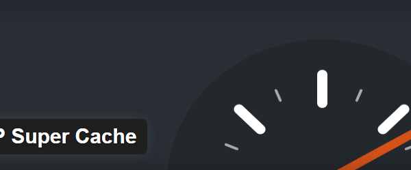 wp-super-cache-1267735-8046416-png