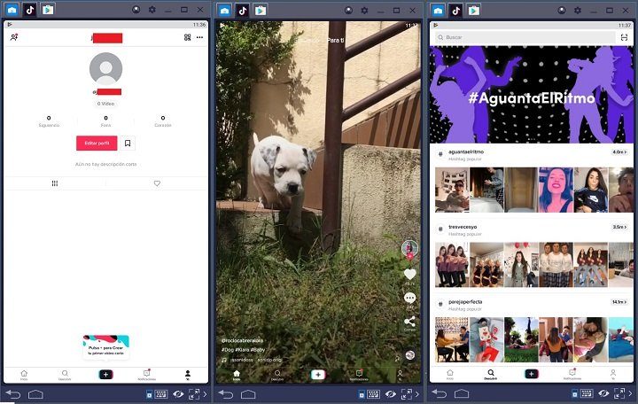 Imagen - Cómo ingresar a TikTok desde tu computadora