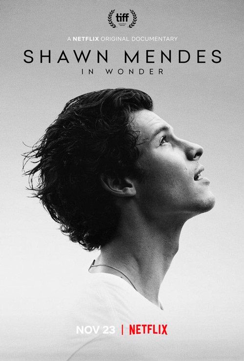 Póster Shawn Mendes: In Wonder