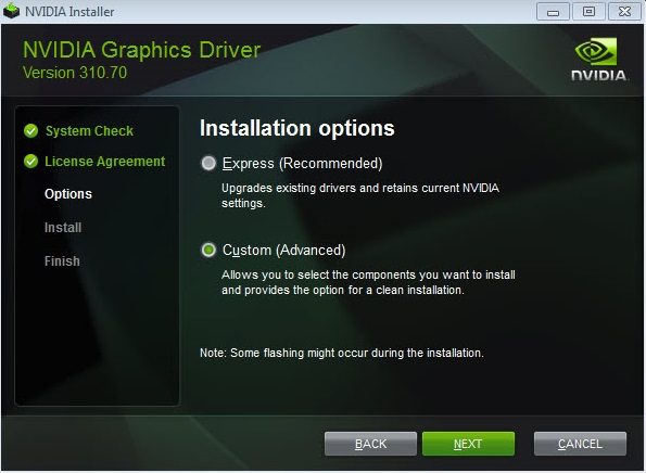 Seleccione Personalizado durante la instalación de NVIDIA