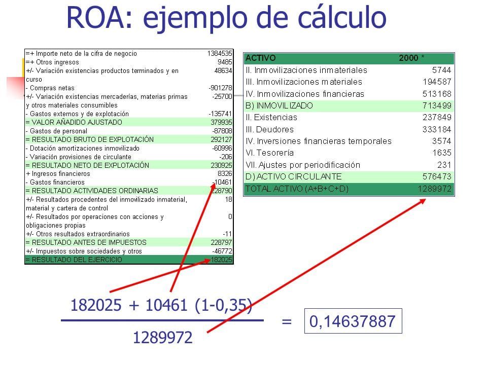 calculo-roa-4086124