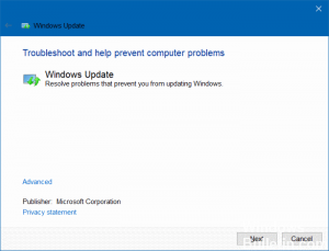 Windows-Update-Troubleshooter1-300x229-7313010