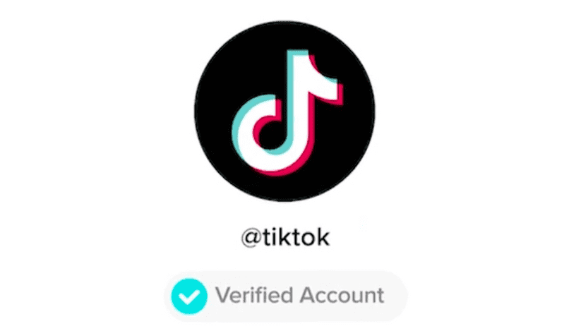 Cómo ser verificado o tener una insignia de verificación en TikTok ¿Cómo verificar una cuenta?