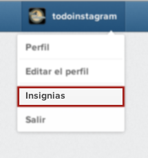 Ponga el logo de Instagram en el blog