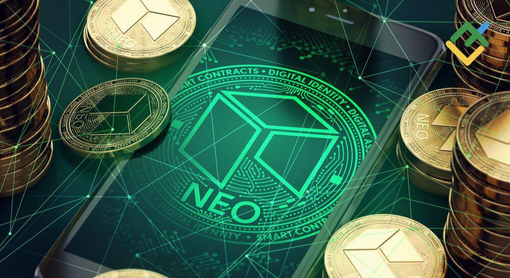</noscript>The Advantages and Disadvantages of NEO Investments